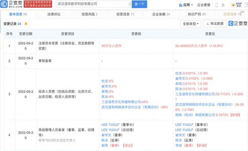 網(wǎng)易戰(zhàn)略投資渲奇科技 深化游戲美術(shù)研發(fā)能力，布局計(jì)算機(jī)軟件開發(fā)
